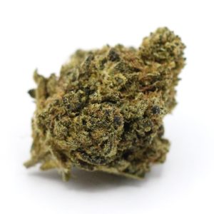 Orange Cream - $2.82/gram - AA - Indica