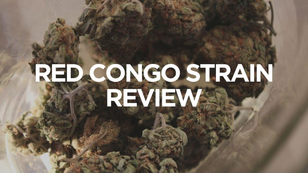 red-congo-strain-review