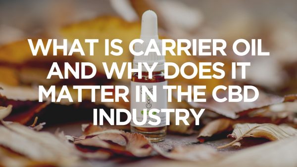 what-is-carrier-oil-and-why-does-it-matter-in-the-cbd-industry