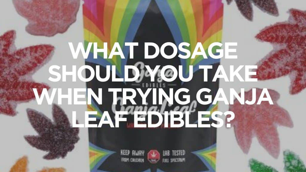 What-Dosage-Should-You-Take-When-Trying-Ganja-Leaf-Edibles