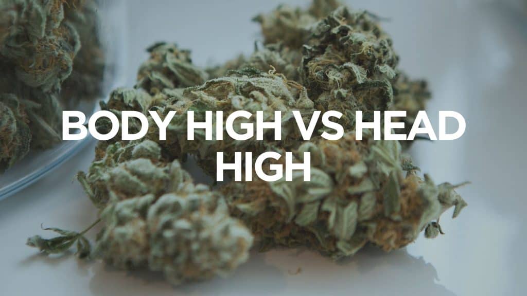 Body-High-Vs-Head-High