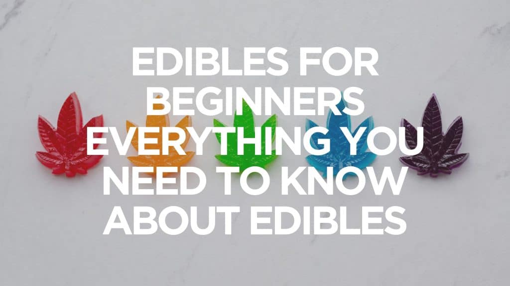 edibles-for-beginners-everything-you-need-to-know-about-edibles