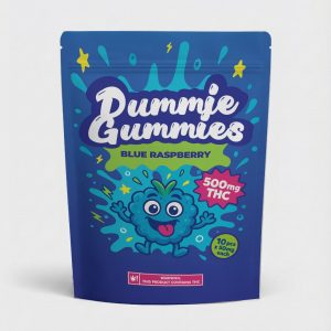 Alternative view of Dummies Gummies - Blue Razz 500MG