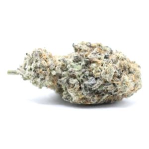 Mac Donut - $6.07/gram – CRAFT - Hybrid