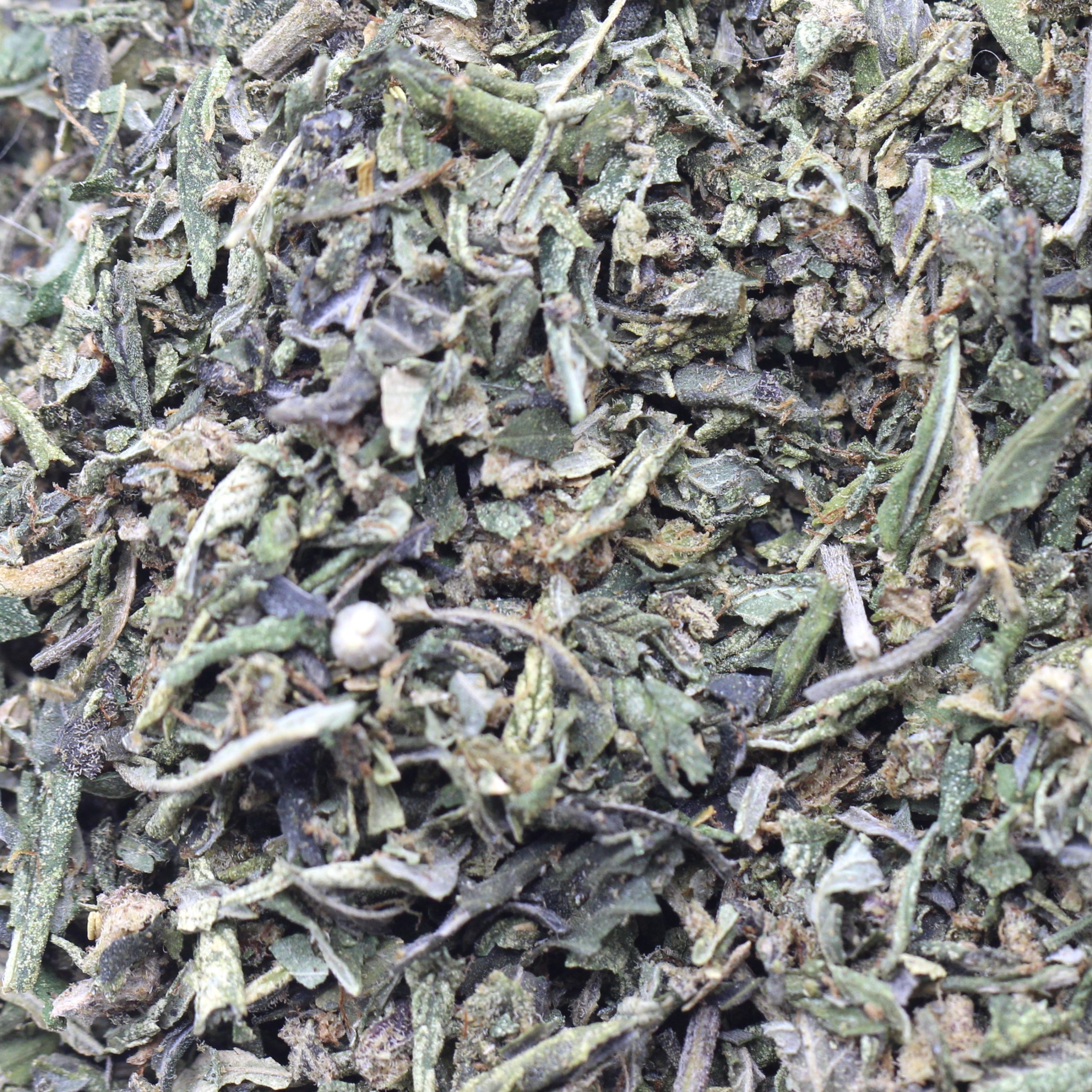 Purple Punch Shake Ounce Deal (AA) - Image 2