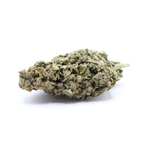 GG4 - $2.82/gram - AA - Indica