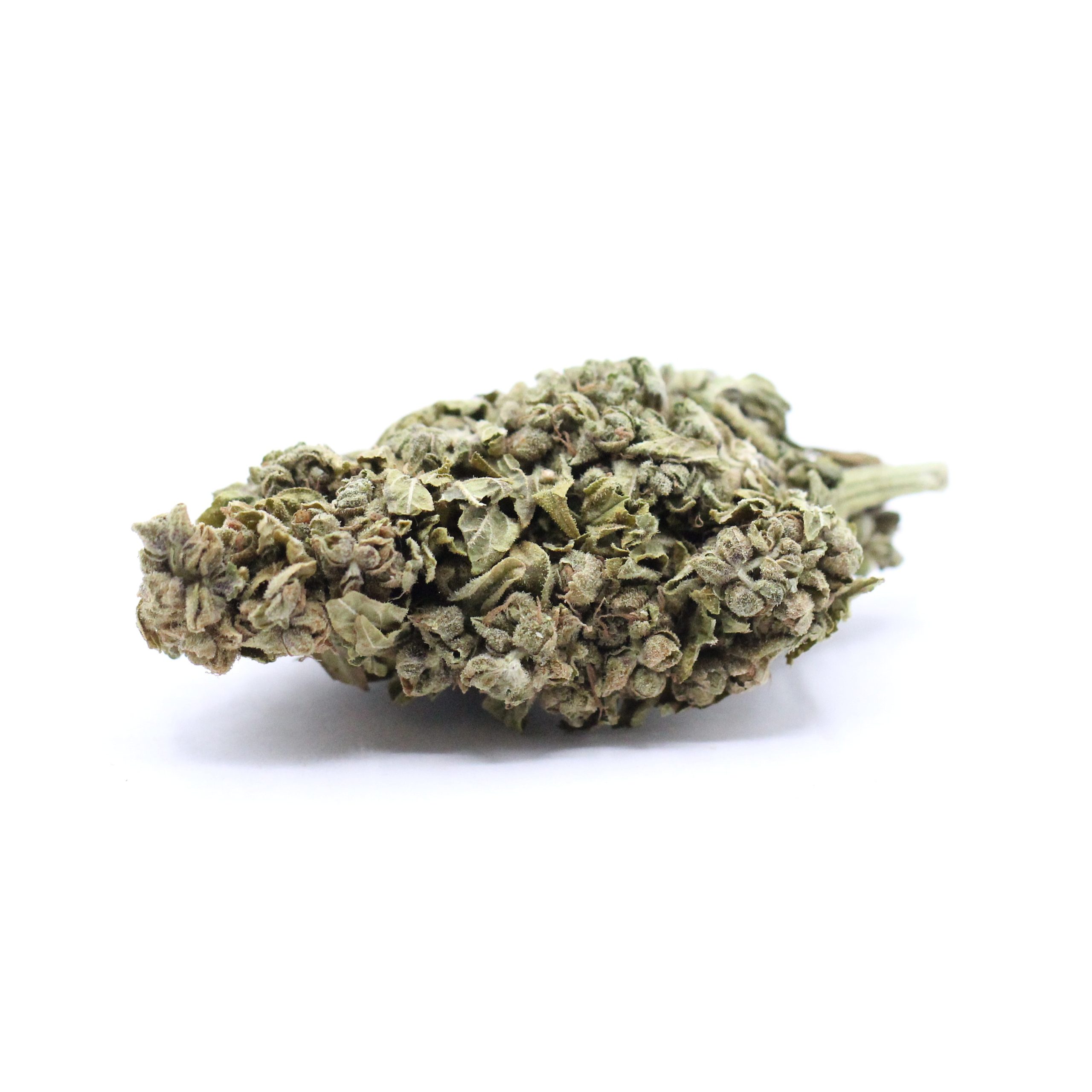 GG4 - $2.82/gram - AA - Indica