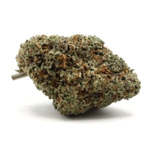 Strawberry Cough - $3.03/gram - AA - Sativa