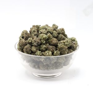 Alternative view of Gary Payton AA - Hybrid