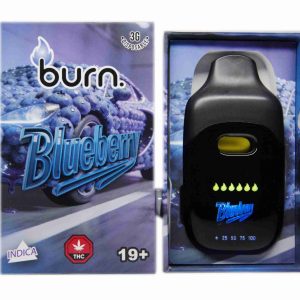 Burn LCD Disposable – Blueberry (3 Gram) (Indica)