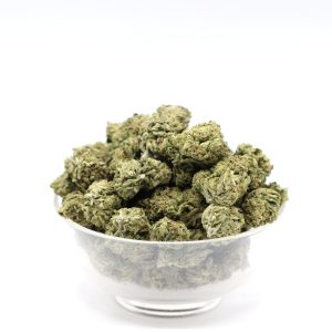 Alternative view of Apricot Northern Lights - $3.17/gram - AA - Hybrid