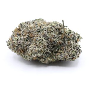 Biscotti – $4.35/gram – AAA+ – Indica