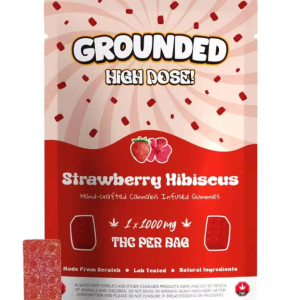 Grounded High Dose Bricks – Strawberry Hibiscus 1000mg Gummies