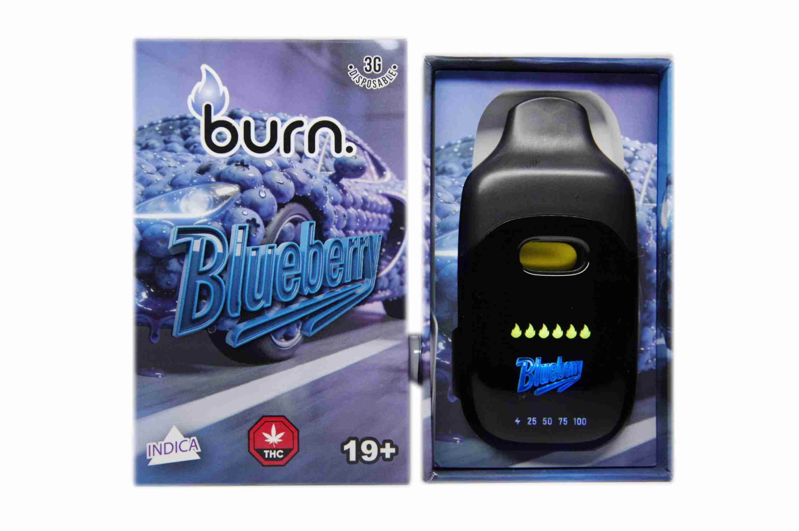 Burn LCD Disposable – Blueberry (3 Gram) (Indica)