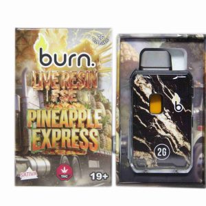Burn Live Resin FSE Disposable – Pineapple Express