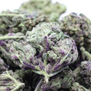Alternative view of Fruit by the Foot - $3.17/gram - AA - Hybrid