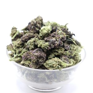 Alternative view of Tropicana Cookies - $2.82/gram - AA - Sativa