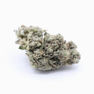 Orange Sherbert  - $3.17/gram - AA - Hybrid